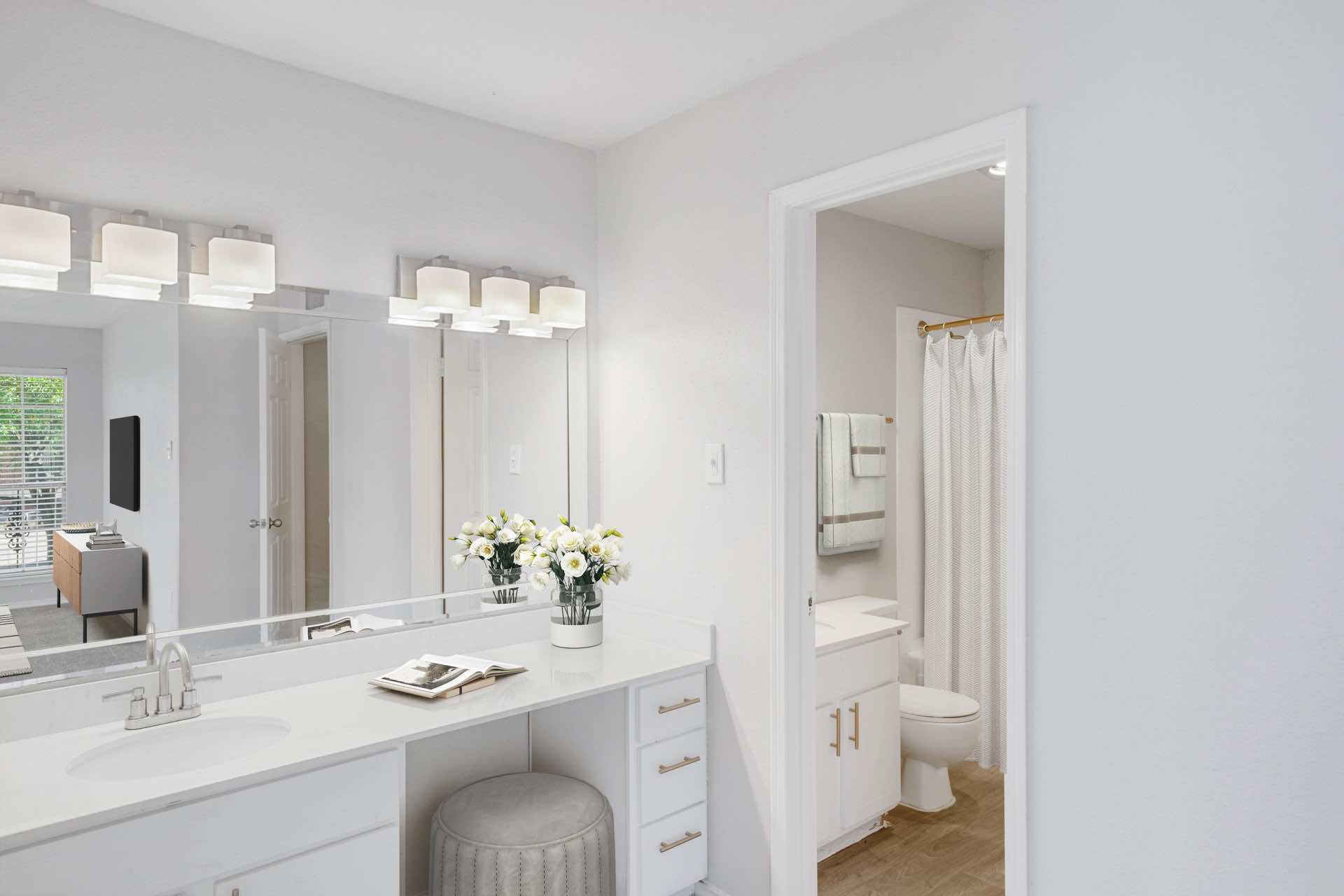 large mirror in bathroom and plenty of counter space